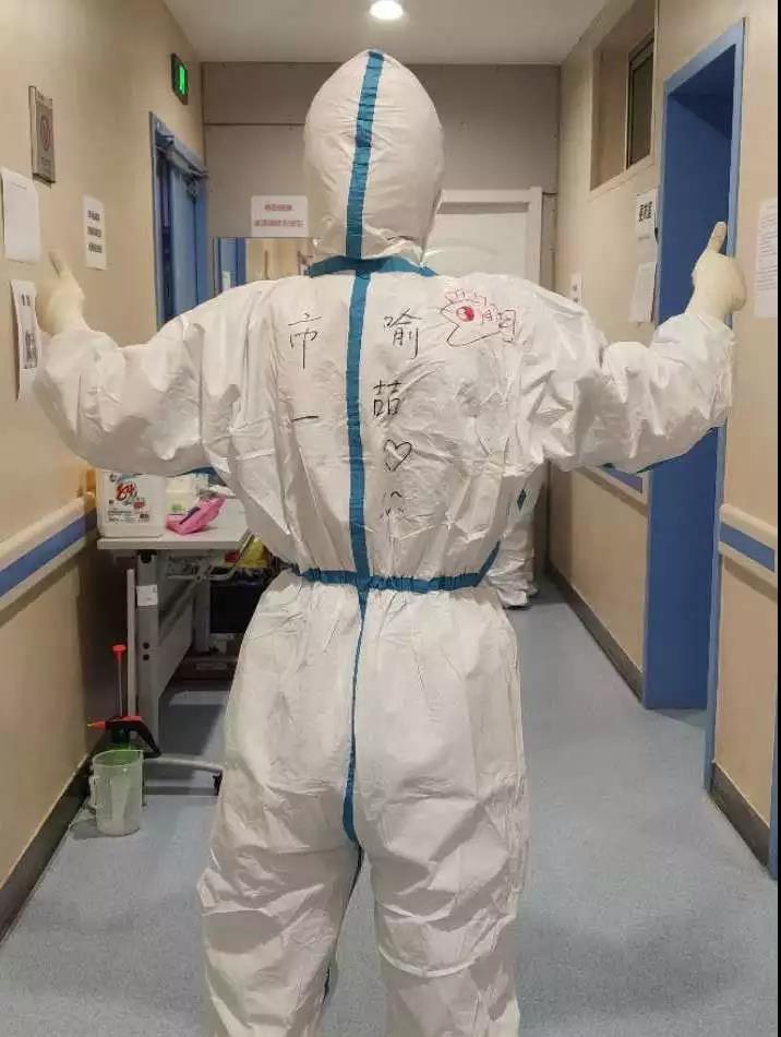 狗狗视力缺陷：关注毛孩的视觉世界